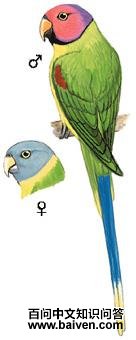 ��ͷ���ĵ�ͼ��