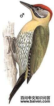 ��������ľ���ͼ��