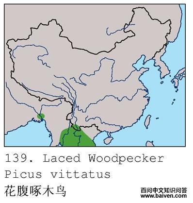 ��������ľ��ĵ����ֲ�ͼ