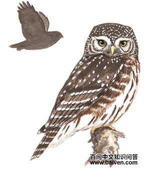 ��ͷ��m��ͼ��