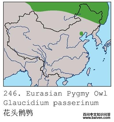 ��ͷ��m�ĵ����ֲ�ͼ