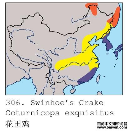 ���Ｆ�ĵ����ֲ�ͼ