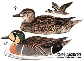 ����Ѽ��ͼ��