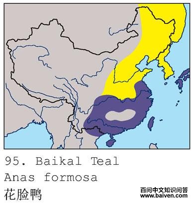 ����Ѽ�ĵ����ֲ�ͼ