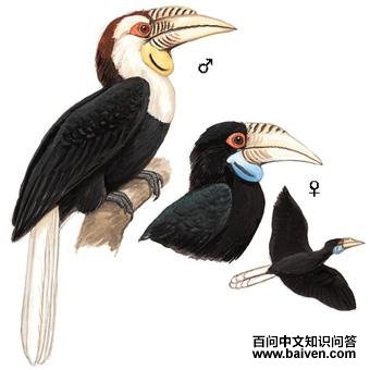 �������Ϭ���ͼ��