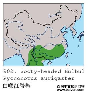 �׺������ǵĵ����ֲ�ͼ