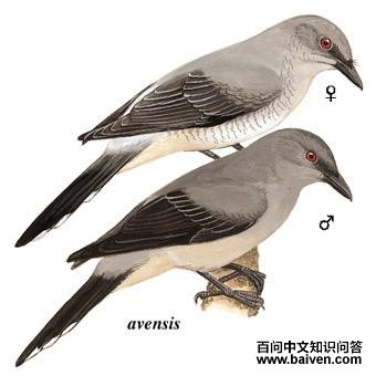 ���Ҿ��V��ͼ��