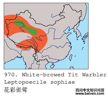 ����ȸݺ�ĵ����ֲ�ͼ