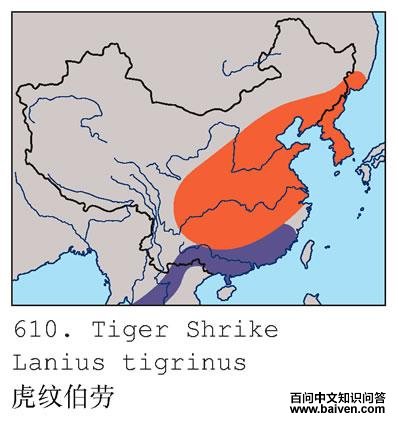 ���Ʋ��͵ĵ����ֲ�ͼ