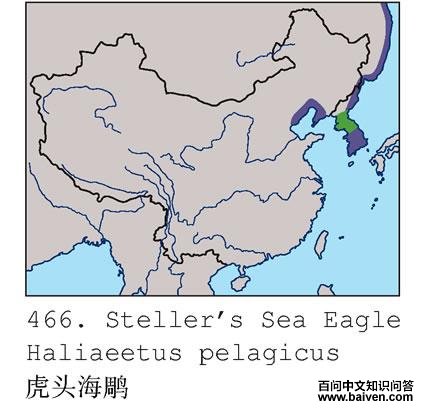 ��ͷ����ĵ����ֲ�ͼ