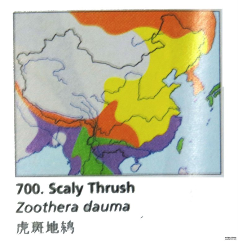 ���ߵ��ĵ����ֲ�ͼ