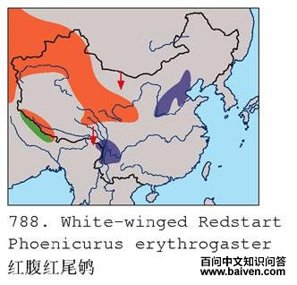 �츹��β�ĵ����ֲ�ͼ