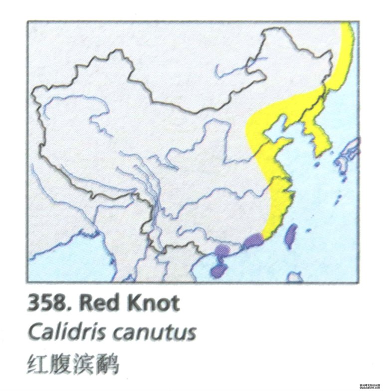 �츹���ֵĵ����ֲ�ͼ