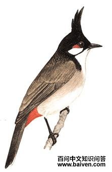 ����ǵ�ͼ��