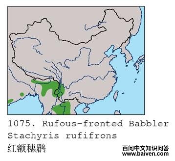 ������̵ĵ����ֲ�ͼ