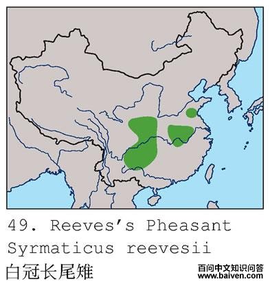 �׹ڳ�β���ĵ����ֲ�ͼ