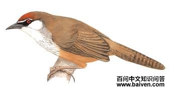 �춥�̵�ͼ��