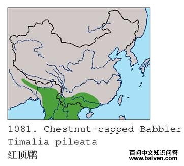 �춥�̵ĵ����ֲ�ͼ