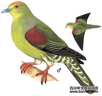 �춥����ͼ��