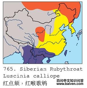 ����,������ĵ����ֲ�ͼ