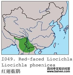 ���޴�̵ĵ����ֲ�ͼ