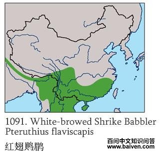 ����V�̵ĵ����ֲ�ͼ