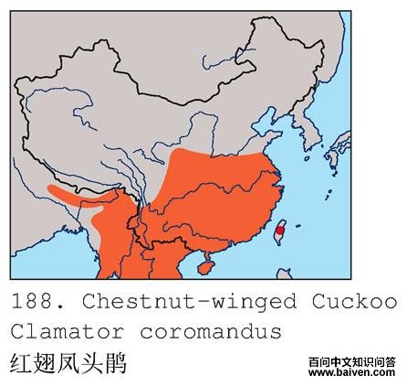 ����ͷ��ĵ����ֲ�ͼ