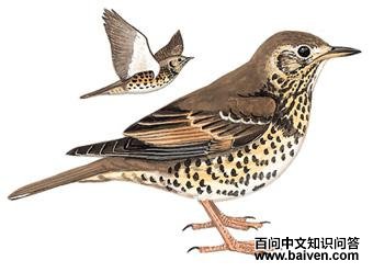 ����ͼ��