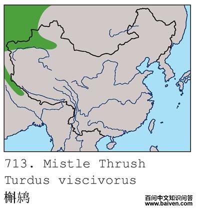 ���ĵ����ֲ�ͼ