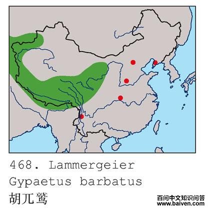 ��أ�յĵ����ֲ�ͼ