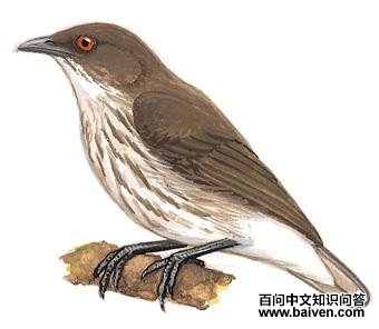 �����Ļ����ͼ��