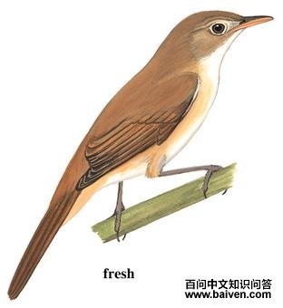 ����έݺ��ͼ��