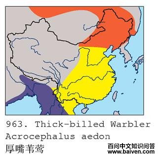 ����έݺ�ĵ����ֲ�ͼ