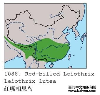 ������˼��ĵ����ֲ�ͼ