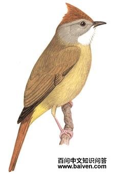 �׺����ǵ�ͼ��