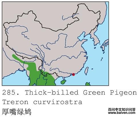 �������ĵ����ֲ�ͼ