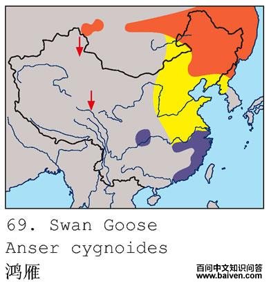 ����ĵ����ֲ�ͼ