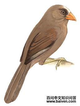 ����ѻȸ��ͼ��