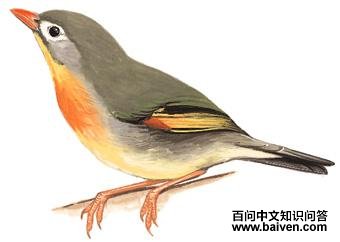 ������˼���ͼ��