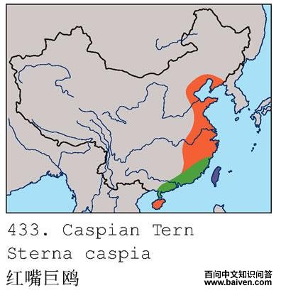 �����Ÿ�ĵ����ֲ�ͼ