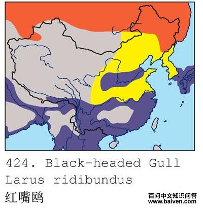 ����Ÿ�ĵ����ֲ�ͼ