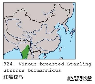 �������ĵ����ֲ�ͼ