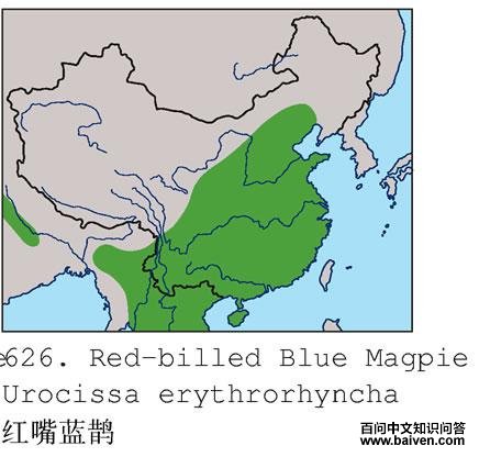 ������ȵ�ĵ����ֲ�ͼ