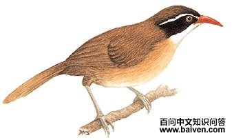 ���칳���̵�ͼ��