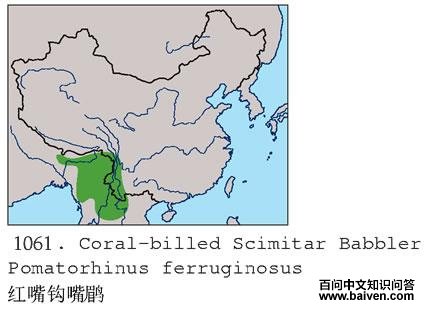 ���칳���̵ĵ����ֲ�ͼ