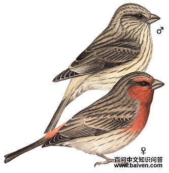 ������ȸ��ͼ��