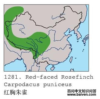 ������ȸ�ĵ����ֲ�ͼ