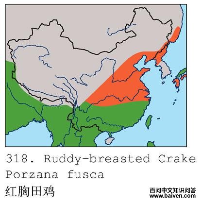 �����Ｆ�ĵ����ֲ�ͼ