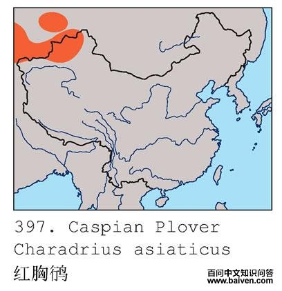 �����a�ĵ����ֲ�ͼ