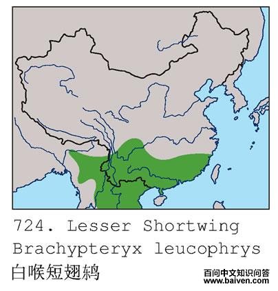 �׺��̳��ĵ����ֲ�ͼ